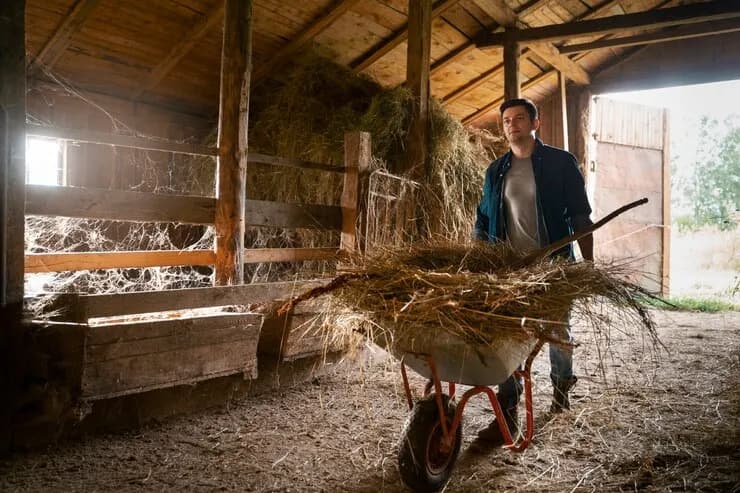 Ile kosztuje budowa stodoły? Sprawdź ukryte koszty i oszczędności