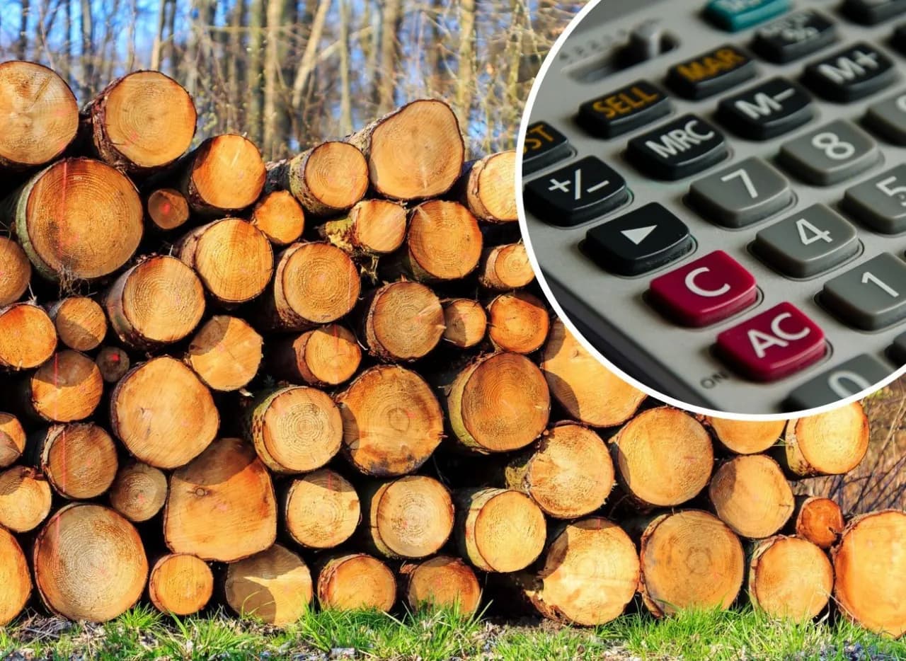 Jak obliczyć m3 drewna konstrukcyjnego i uniknąć kosztownych błędów